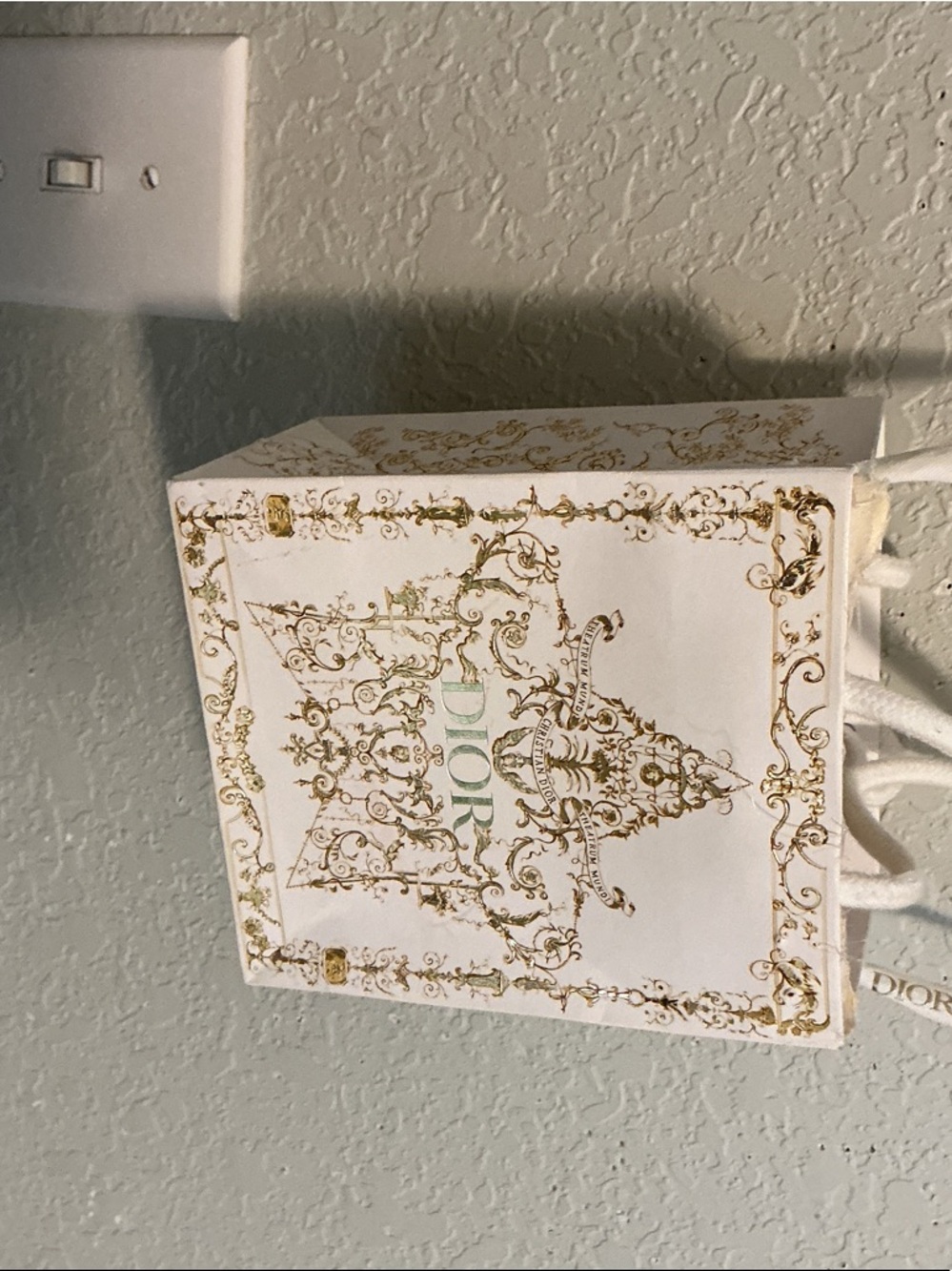 Dior White and Gold Bag small